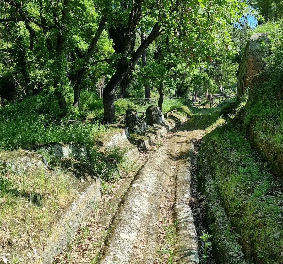 Etruscan road dug in the tuff at Banditaccia Necropolis, note the grooves created by the wheels of the ancient carts
