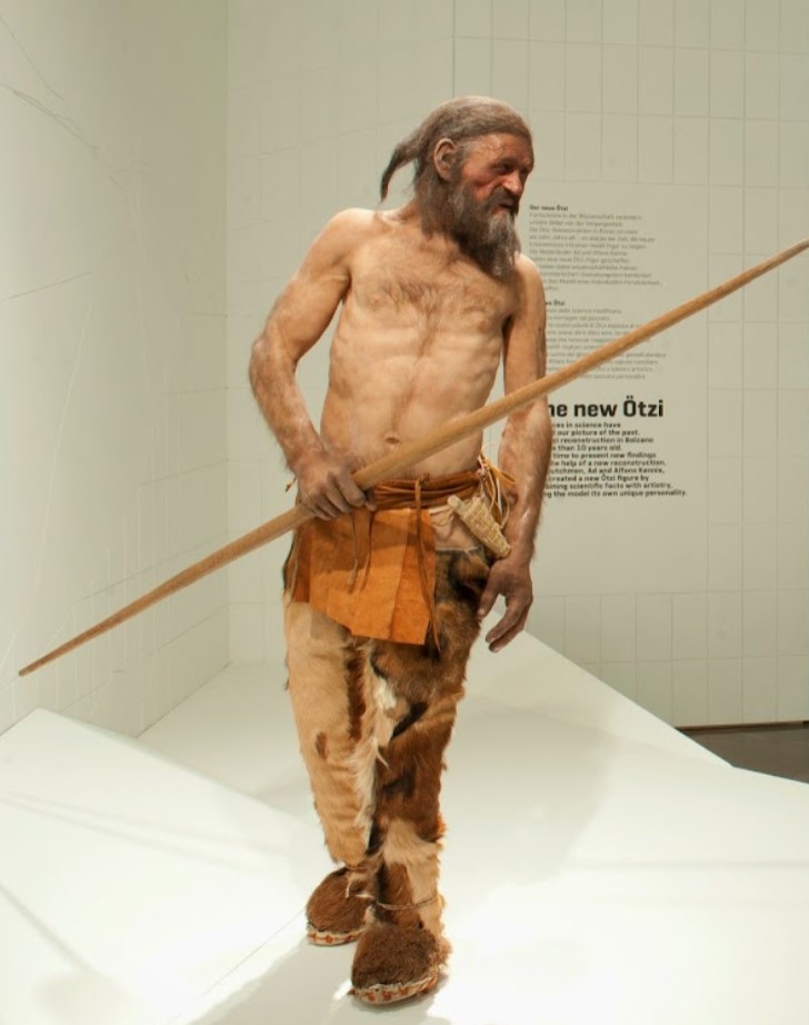 A reconstruction of Öetzi, The South Tyrol Museum in Archaeology, Bolzano