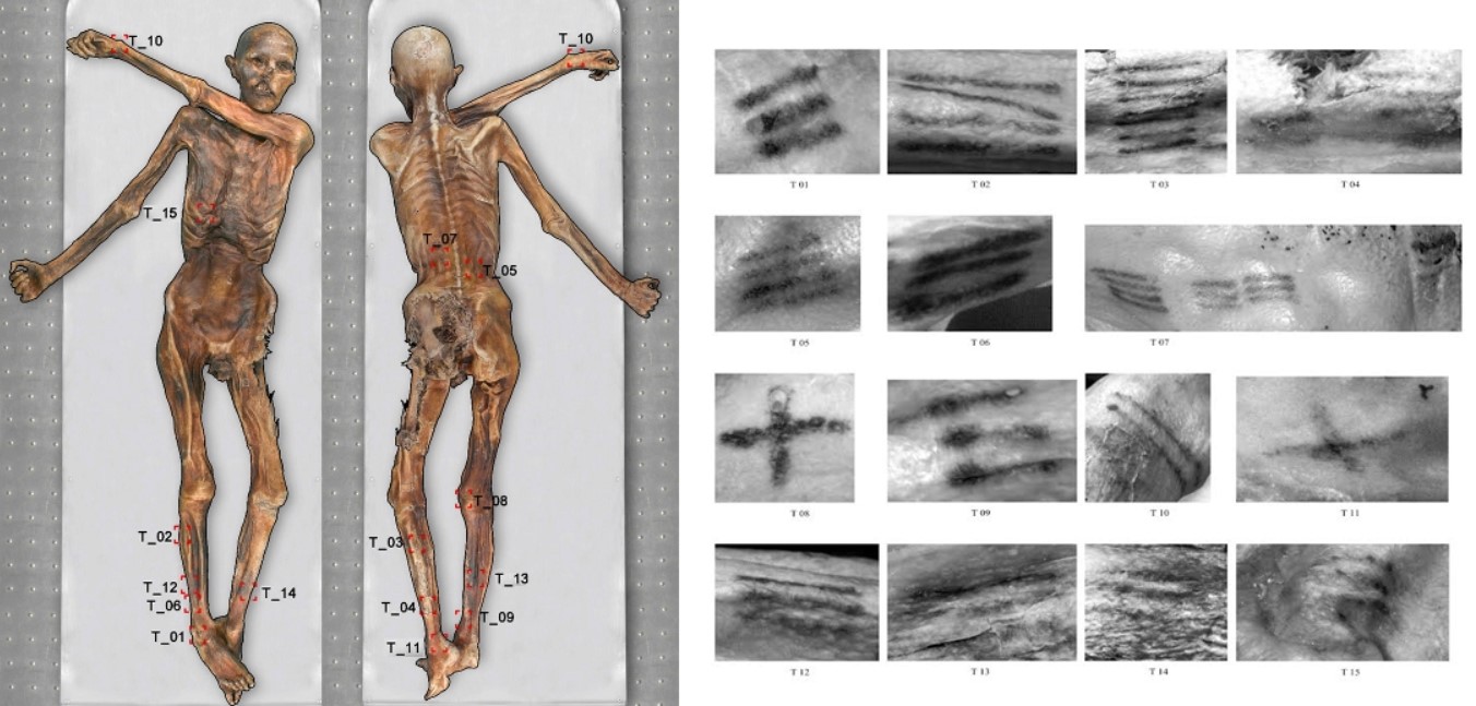 The areas of the mummy where the tattoos are located (The South Tyrol Museum in Archaeology)