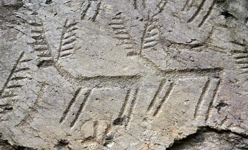 Rock carvings of deer