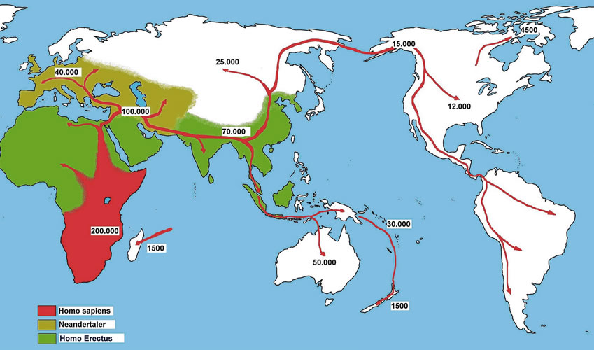 This map shows the spread of Homo sapiens out of Africa and across the globe, with very approximate dates. (Wikipedia)