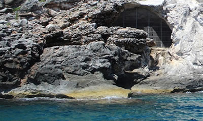 Animal species of the glacial and interglacial periods in the Romanelli Cave