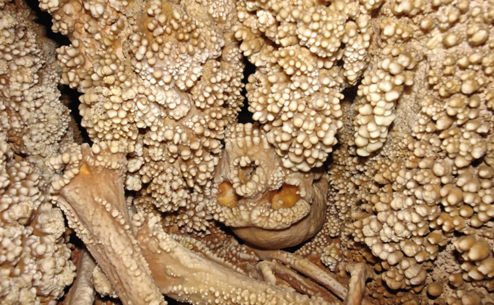 The skull and fossil bones of Altamura Man are still located in Lamalunga cave