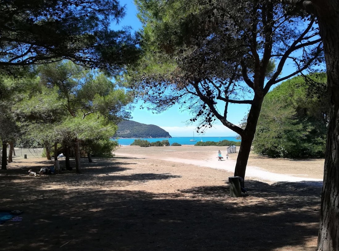 The life of Ledeltius in ancient Populonia