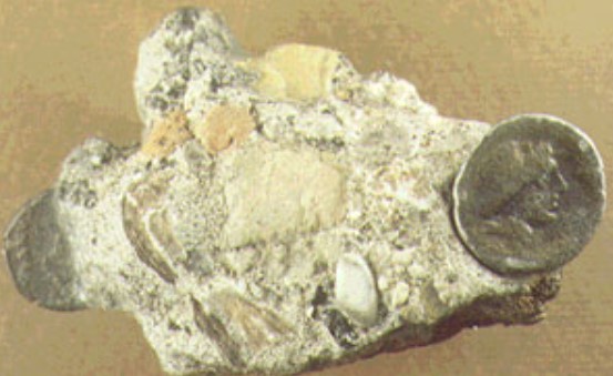 Roman coins found in the Tiber