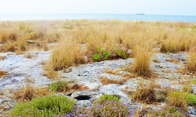 Ceramics date the first military construction in Sicily