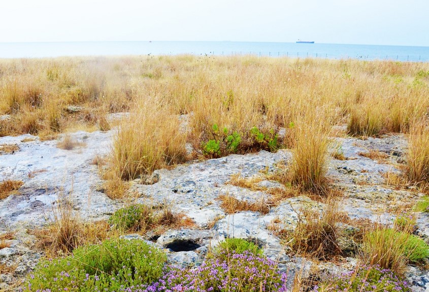 Site of Stentinello, in the center there is a hole used to insert a pole of a hut (siciliafotografica.it)