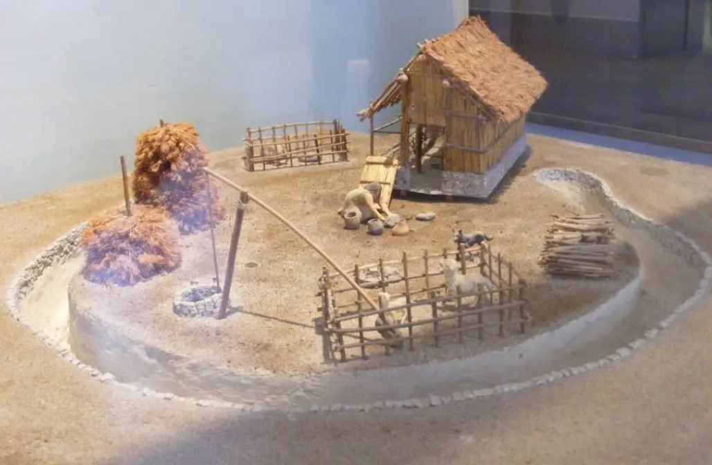 A reconstruction of a Neolithic village, Passo di Corvo (Civic Museum in  Foggia)